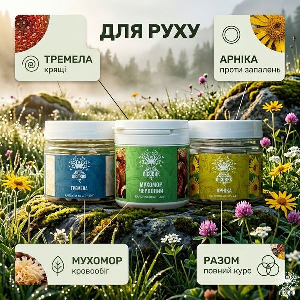 Курс Joint Flex: Сила та гнучкість суглобів (1 місяць) Мікродозинг фото