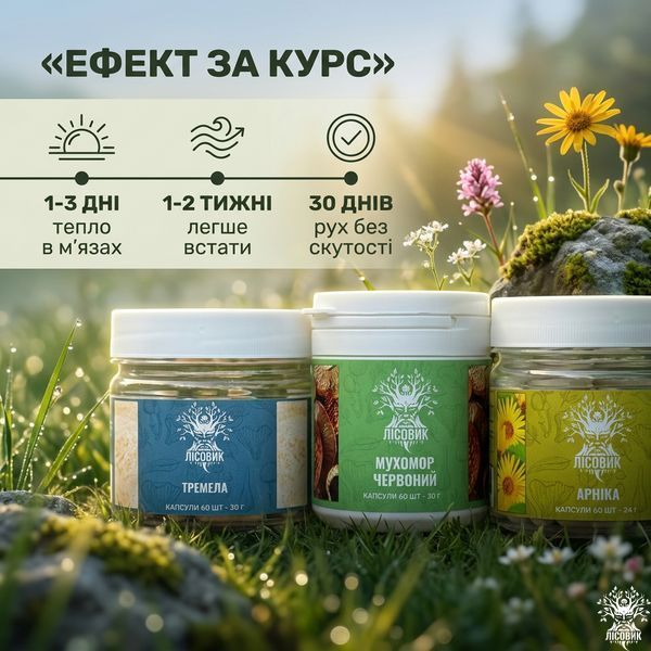 Курс Joint Flex: Сила та гнучкість суглобів (1 місяць) Мікродозинг фото