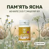 Экстракт мицелия Ежовика гребенчатого, 60 капсул по 0.5 г Микродозинг фото