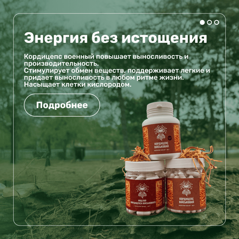 Desctop 3 кордицепс