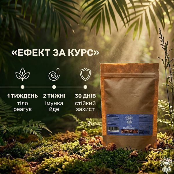 Агарік бразильський, сушений гриб 50 г Мікродозинг фото