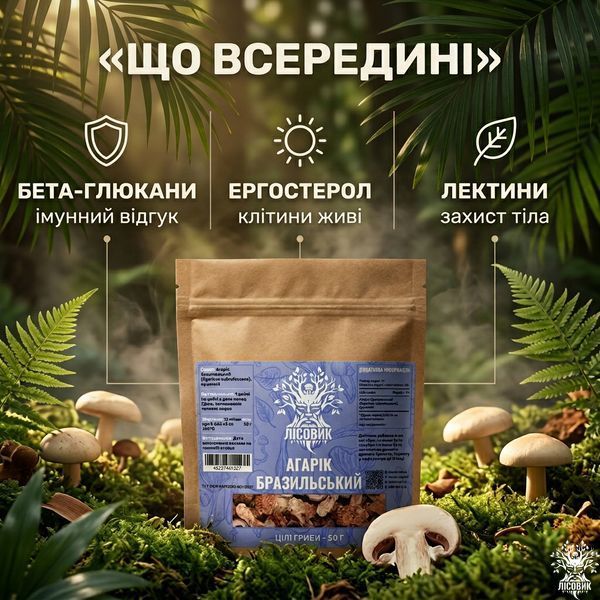 Агарік бразильський, сушений гриб 50 г Мікродозинг фото