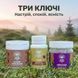 Курс Zen Mood: Для борьбы с тревожностью, апатией и депрессией (1 месяц) LIS-482759 фото 2