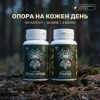 Чоловіча опора 40+ — курс Лісовик