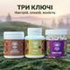Курс Zen Mood: Для боротьби з тривожністю, апатією та депресією (2 місяця) LIS-482760 фото 2