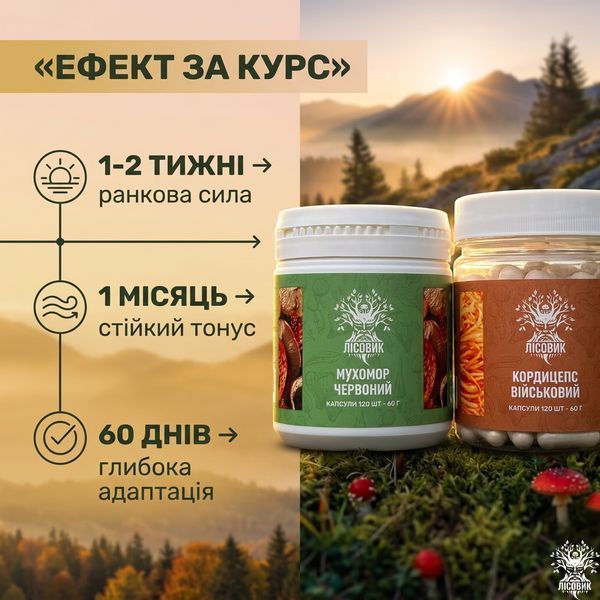 Курс Активний день: Кордицепс та Мухомор червоний (2 місяця) Мікродозинг фото