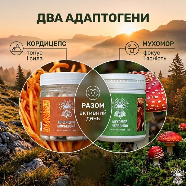 Курс Активний день: Кордицепс та Мухомор червоний (2 місяця) Мікродозинг фото