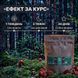 Нерозкриті капелюшки червоного мухомору 50 г LIS-469791 фото 4