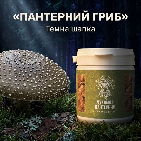 Мухомор пантерний, капсули 120 шт по 0,3 г Мікродозинг фото