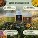 Курс Детокс: Перезагрузка тела и ума (1 месяц) LIS-482641 фото 4