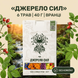 Чай Источник сил 40 г LIS-CHAI-004 фото 1