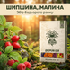 Чай Источник сил 40 г LIS-CHAI-004 фото 3