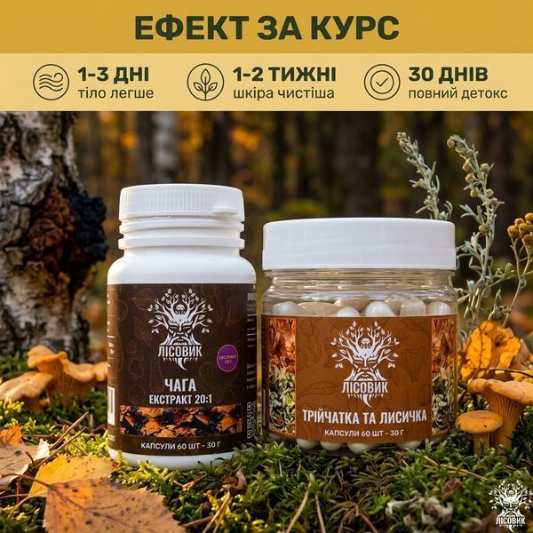 Курс Детокс: Чага, Тройчатка и Лисичка (1 месяц) Микродозинг фото