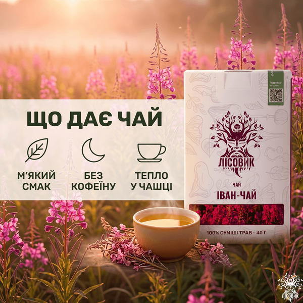 Чай Иван-чай ферментированный 40 г Микродозинг фото