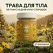Квіти Арніки, мелені 50 г LIS-481914 фото 1