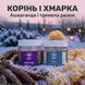 Курс Міцний сон: Ашваганда та Тремела (1 місяць) LIS-482634 фото 1