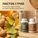 Курс Ясна голова 45+: гінкго та екстракт їжовика (2 місяці) LIS-K2615 фото 2