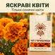 Чай из бархатцев 40 г LIS-CHAI-007 фото 3