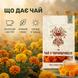 Чай из бархатцев 40 г LIS-CHAI-007 фото 4