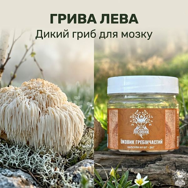 Їжовик гребінчастий у капсулах 60 шт по 0,4 г Мікродозинг фото