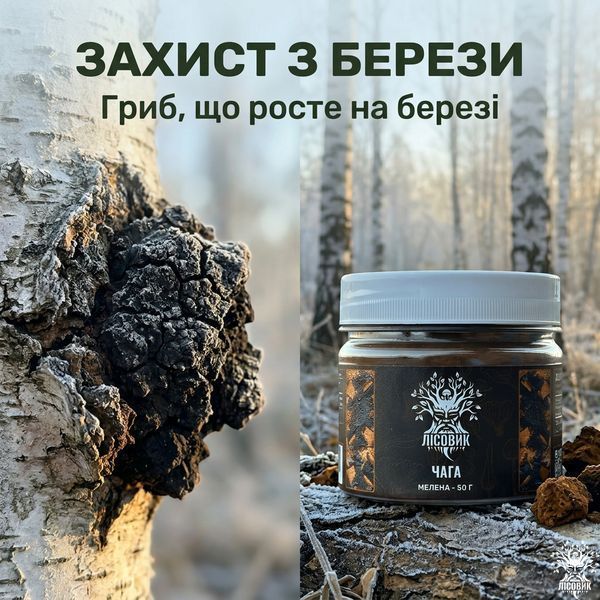 Чага березовая, молотая 50г натуральная добавка Микродозинг фото