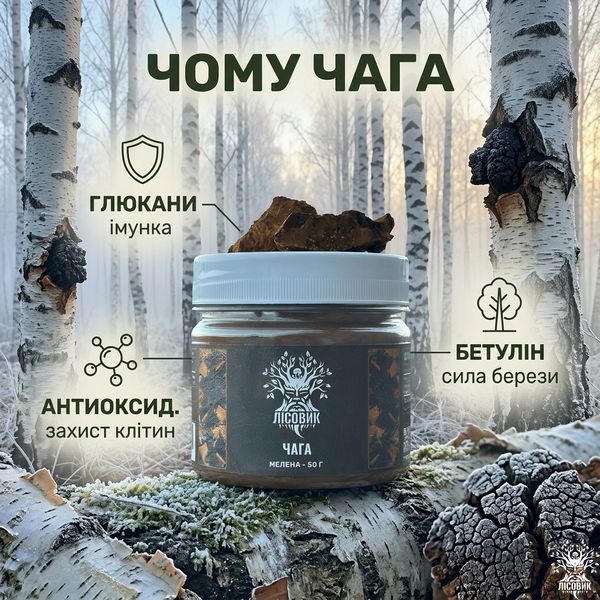 Чага березовая, молотая 50г натуральная добавка Микродозинг фото