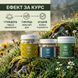 Курс Joint Flex: Сила и гибкость суставов (2 месяца) LIS-482770 фото 4