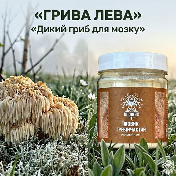 Їжовик гребінчастий, мелений 50 г Мікродозинг фото