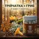 Трійчатка з лисичкою протипаразитна в капсулах 120 шт по 0,5 г LIS-469832 фото 2