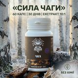 Чага березовая, экстракт 10:1, капсулы 60 шт по 0.5 г Микродозинг фото