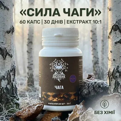 Чага березова, екстракт 10:1, капсули 60 шт по 0.5 г