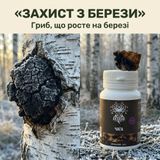 Чага березовая, экстракт 10:1, молотый 50 г Микродозинг фото