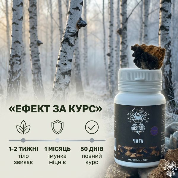 Чага березова, екстракт 10:1, мелений 50 г Мікродозинг фото