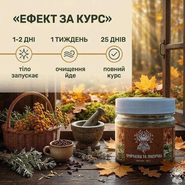 Трійчатка з лисичками антипаразитна, мелена 50 г Мікродозинг фото