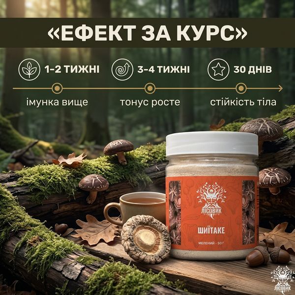 Шиитаке, молотый гриб 50г Микродозинг фото