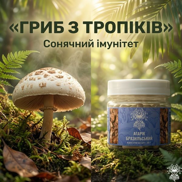 Гриб Агарік бразильський, капсули 60 шт по 0.5 г, Лісовик &mdash; фото товару