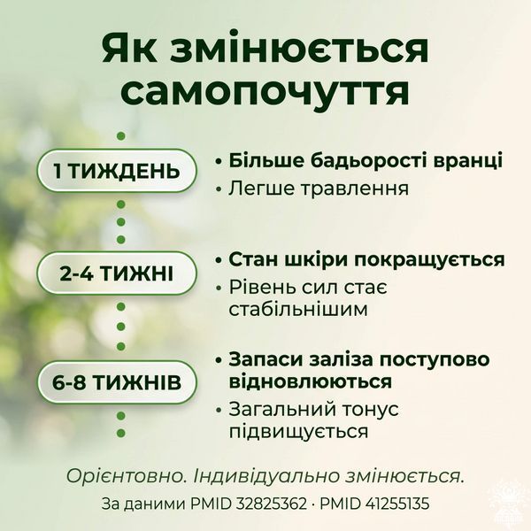 Хлорела у порошку 250 г Мікродозинг фото
