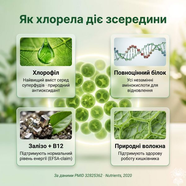 Хлорела у порошку 250 г Мікродозинг фото