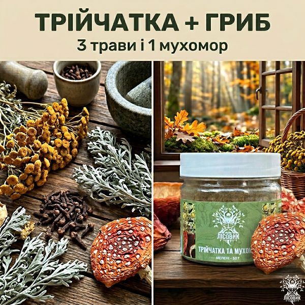 Трійчатка з мухомором червоним, мелена 50 г Мікродозинг фото