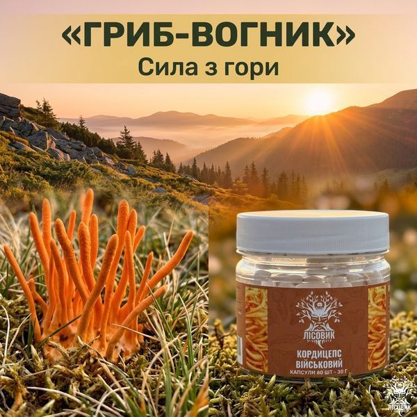 Кордицепс военный в капсулах 60 шт по 0,5 г Микродозинг фото