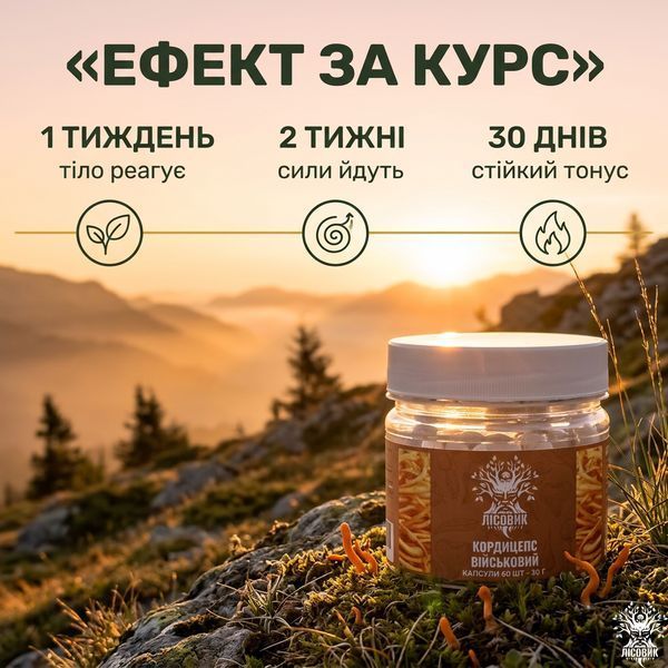 Кордицепс военный в капсулах 60 шт по 0,5 г Микродозинг фото