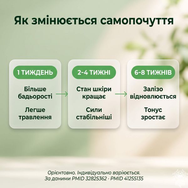 Хлорела у таблетках 250 г Мікродозинг фото