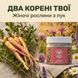 &laquo;Для неї&raquo; Борова матка та Червона щітка, мелена суміш 50 г LIS-481904 фото 1