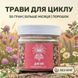 &laquo;Для неї&raquo; Борова матка та Червона щітка, мелена суміш 50 г LIS-481904 фото 2