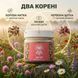 &laquo;Для неї&raquo; Борова матка та Червона щітка, мелена суміш 50 г LIS-481904 фото 3