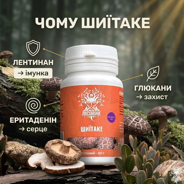 Шиитаке, экстракт 10:1, молотый 50г Микродозинг фото