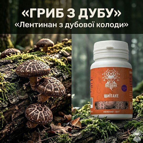 Шиитаке, экстракт 10:1, молотый 50г Микродозинг фото