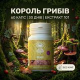 Гриб Рейші/Трутовик лакований, екстракт 10:1, капсули 60 шт по 0.4 г, Лісовик &mdash; фото товару