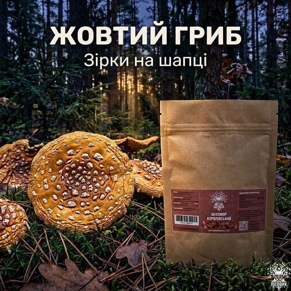 Шляпки королевского мухомора 25 г Микродозинг фото