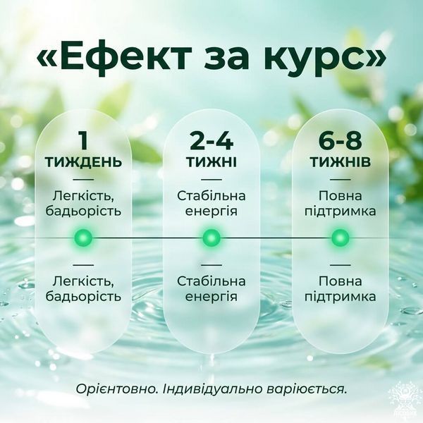 Набір &laquo;Повний спектр&raquo;: спіруліна + хлорела 100+100 г Мікродозинг фото
